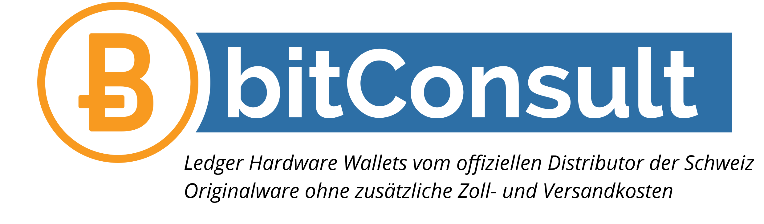 Logo bitConsult