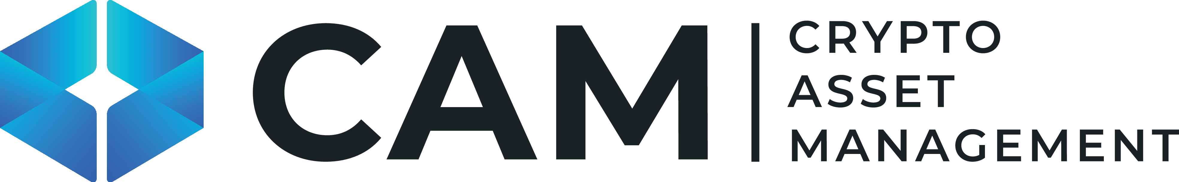 Logo CAM Schweiz AG