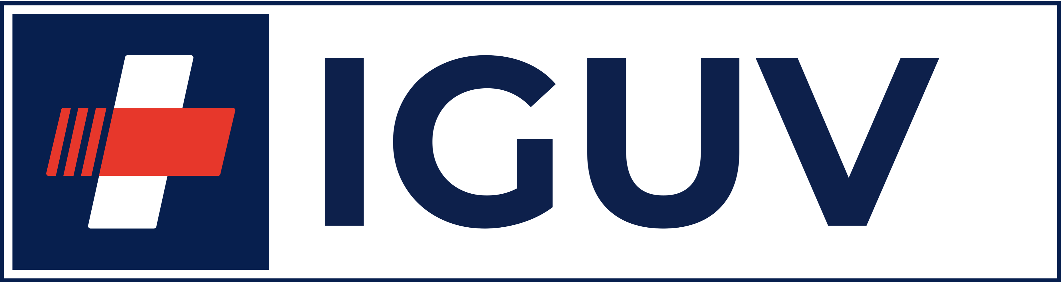 Logo IGUV